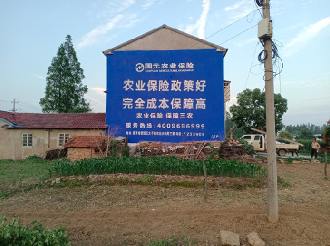 陆川墙体广告为何受追捧?