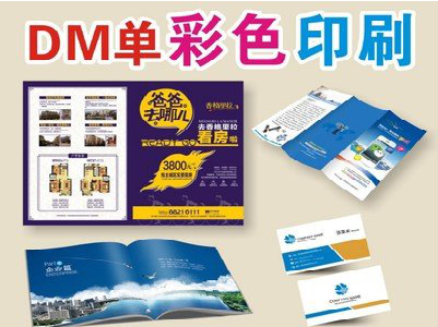 陆川单页印刷,色彩搭配简单。